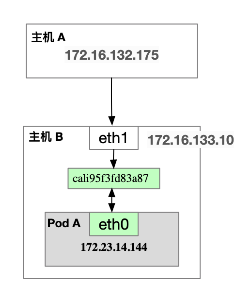 ping_host_container